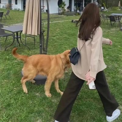 森中有林海报